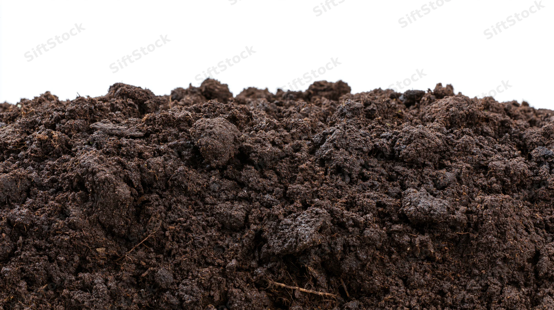 Mound of dark garden soil against white background