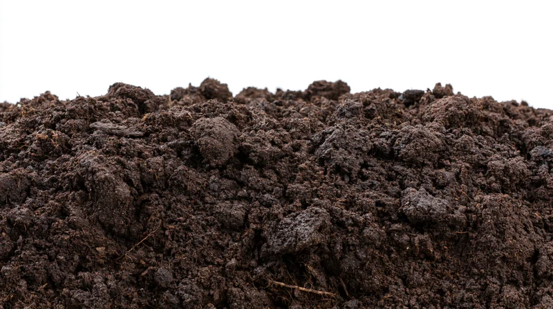 Mound of dark garden soil against white background
