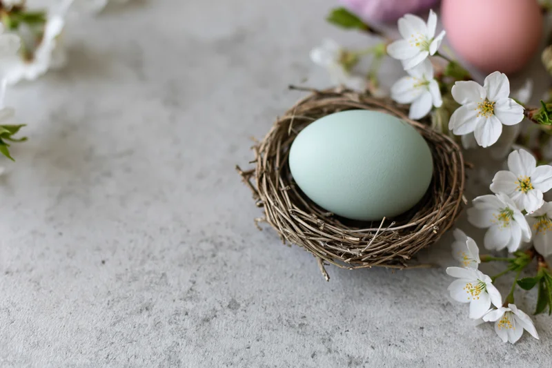 Pale mint easter egg in a small woven twig nest surrounded by white cherry blossoms on a light concrete surface