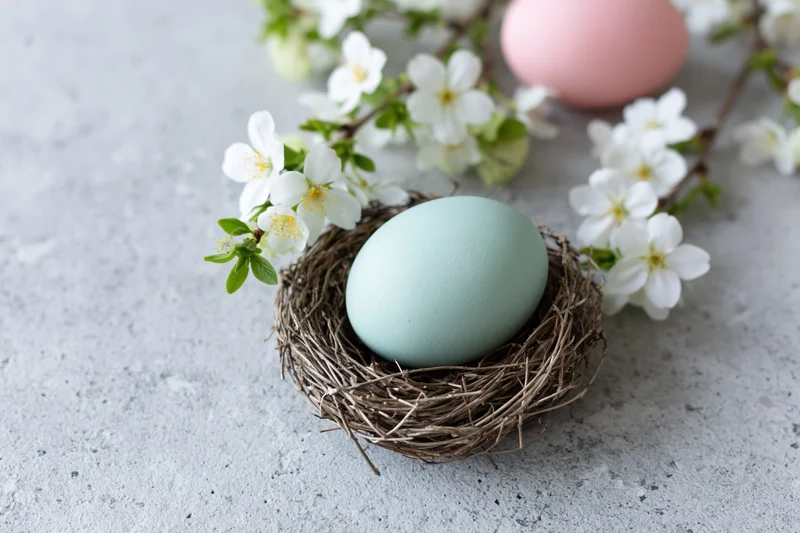 Pale mint easter egg in a small twig nest surrounded by white blossoms on a light concrete surface