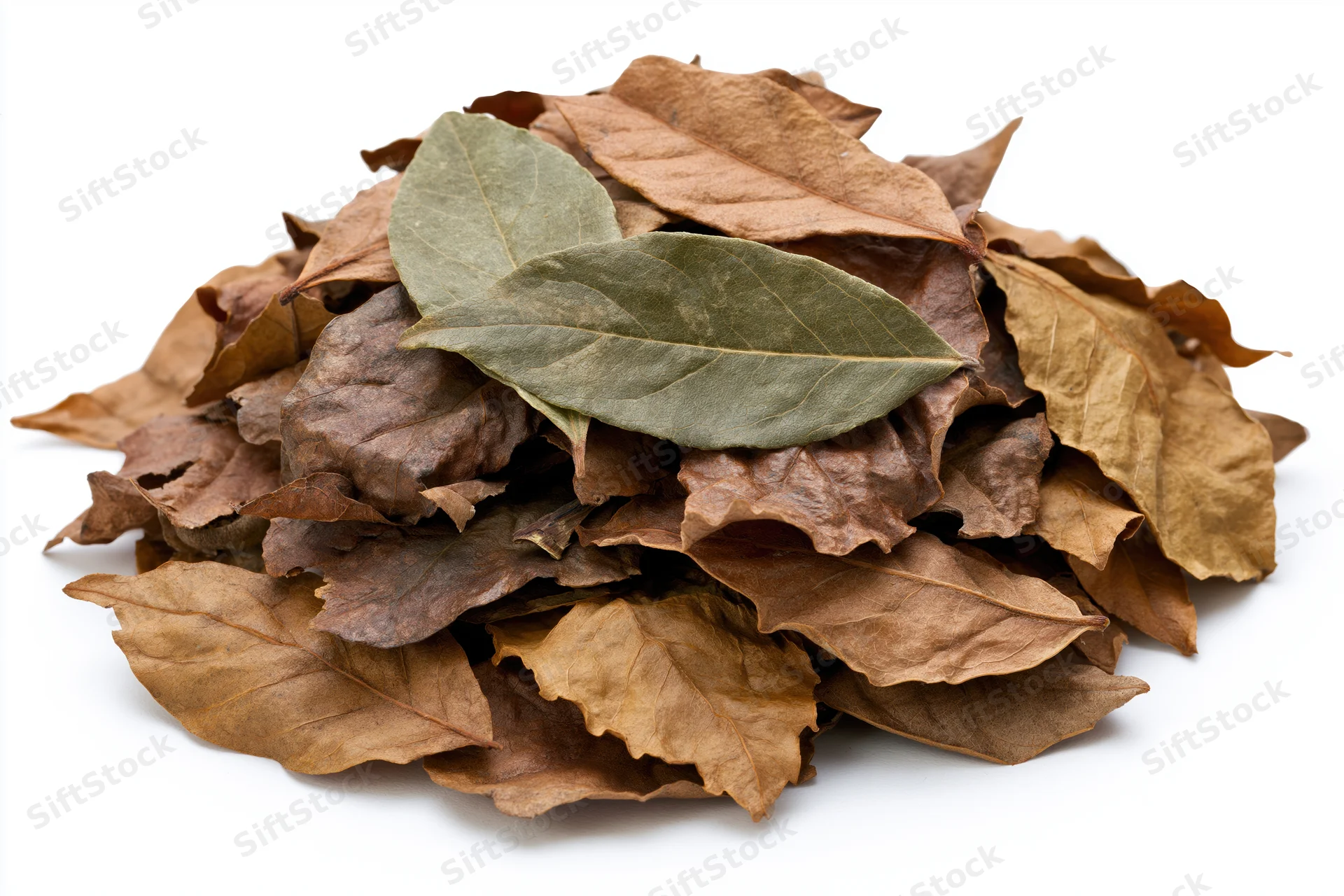 Pile of dried fallen leaves heaped loosely on white background
