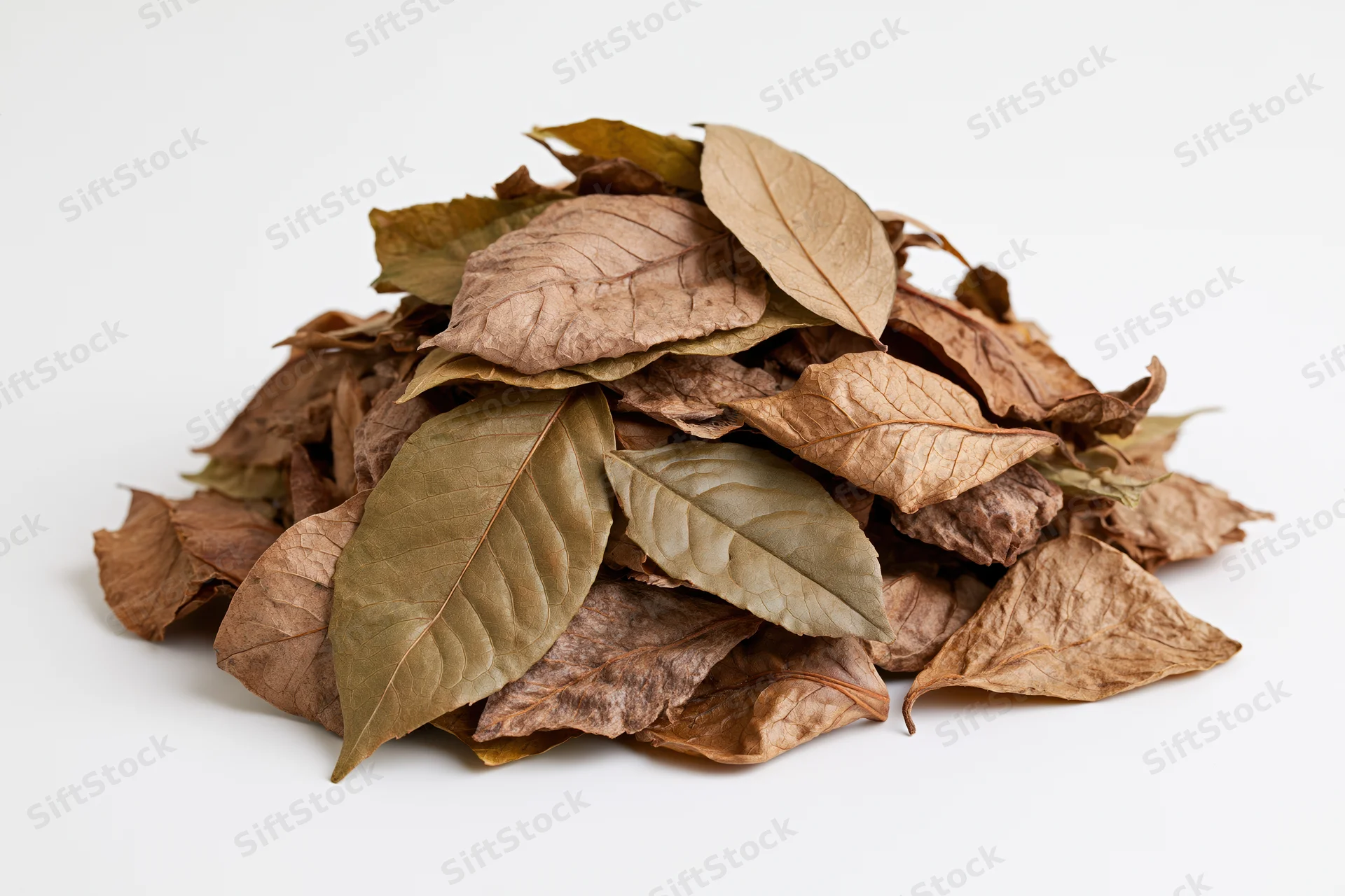Pile of dry fallen leaves heaped loosely on white background