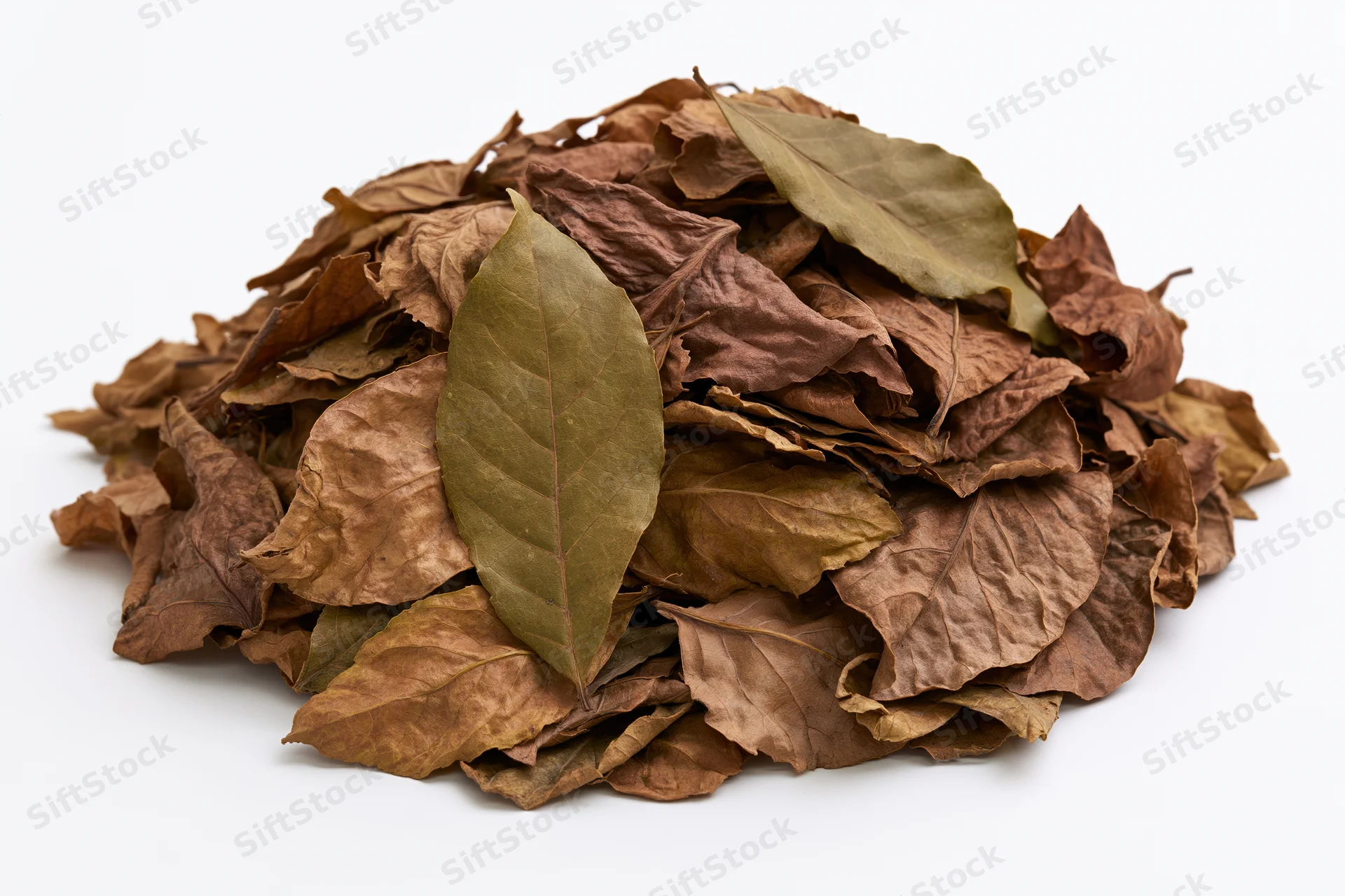 Pile of dry fallen leaves heaped loosely on white background
