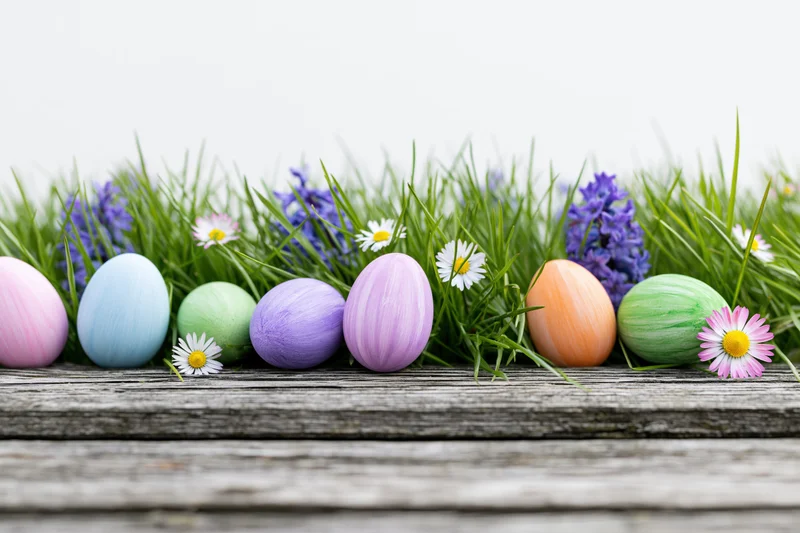 Colorful painted easter eggs nestled in fresh green grass with flowers on a wooden table
