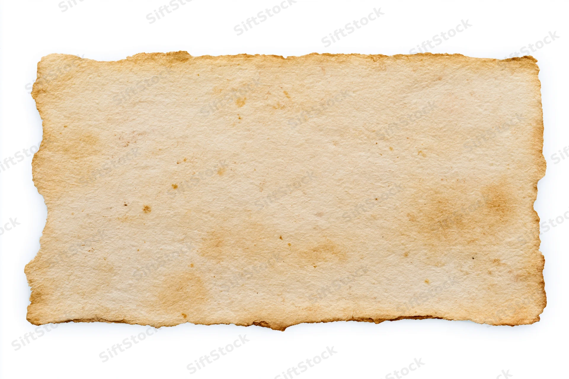 Aged blank paper card with deckled edges lying flat on white background