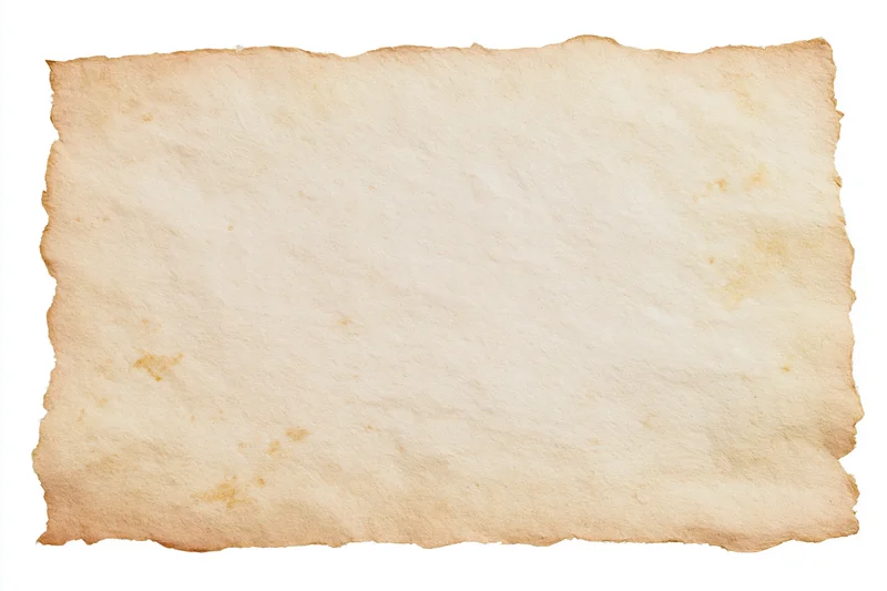 Vintage paper with torn edges lying flat on white background