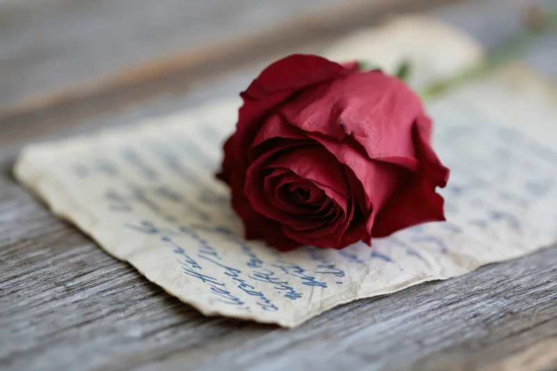 Deep red rose resting on a handwritten letter placed on a wooden surface
