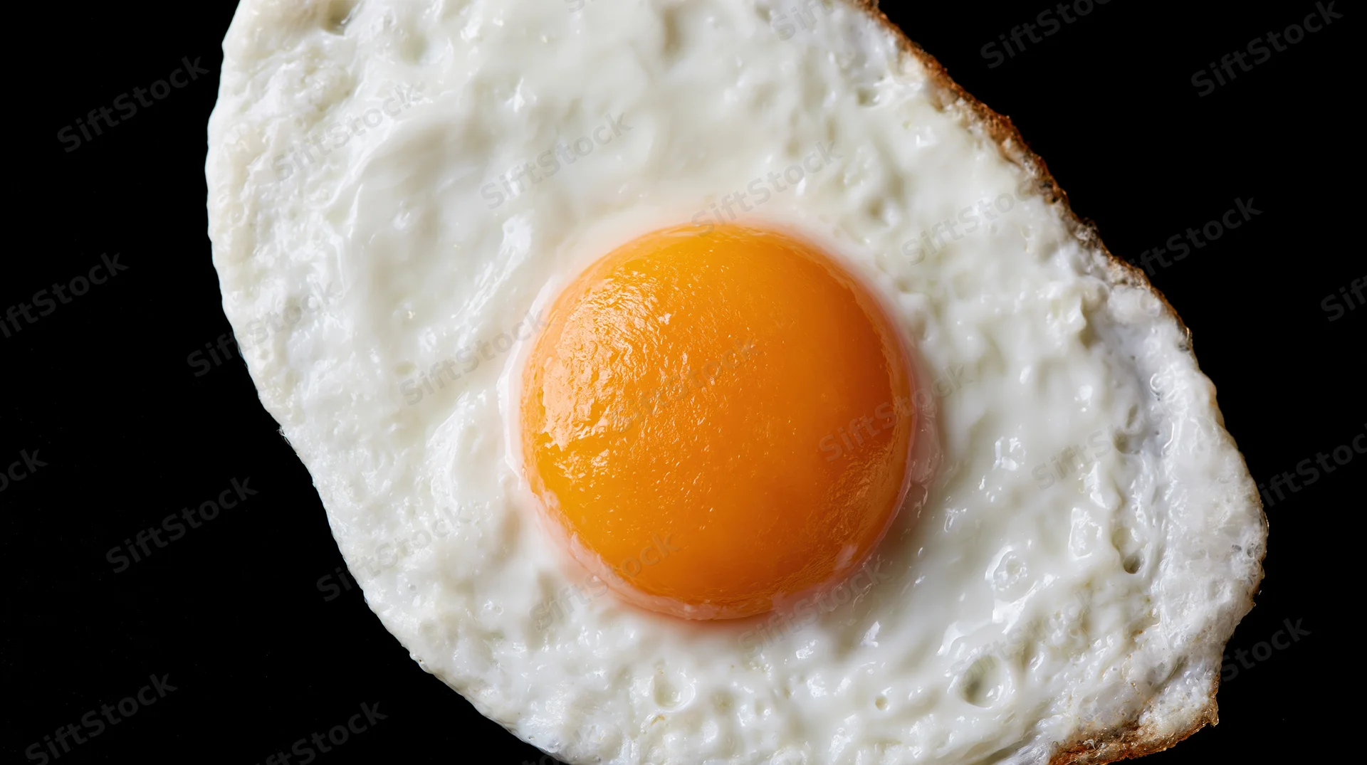 Fried egg sunny-side-up on black background