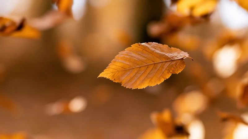 Golden autumn leaf suspended mid-air with blurred foliage background