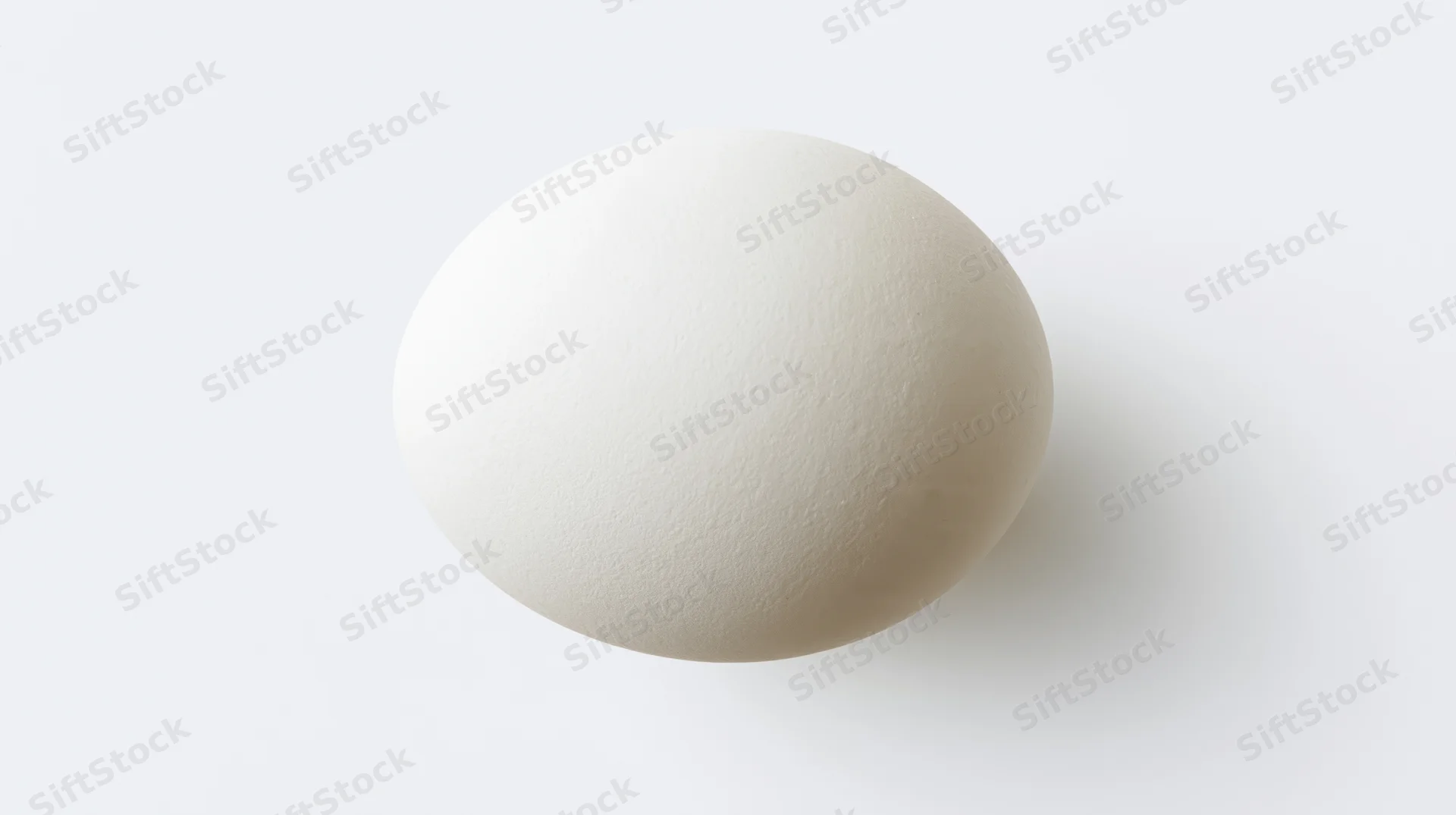 Single white chicken egg centered on pure white background