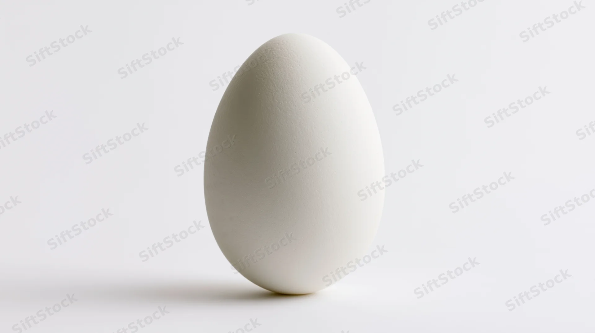 Single white chicken egg standing upright centered against plain white background
