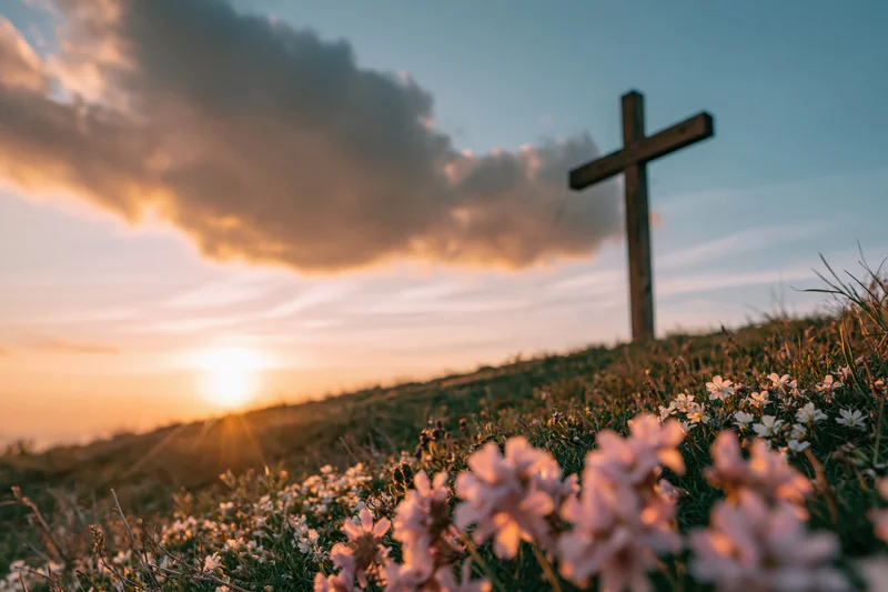 Wooden cross on a grassy hill at sunset surrounded by wildflowers