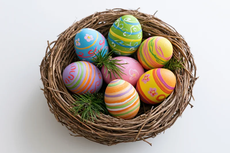 Hand-painted easter eggs in a woven twig nest on white background