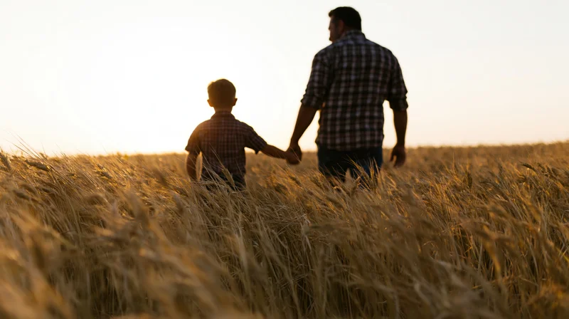 Father and son walking hand in hand through a wheat field at sunset