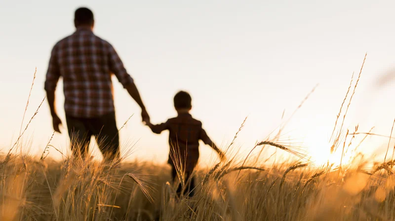 Father and son walking hand in hand through a wheat field at sunset