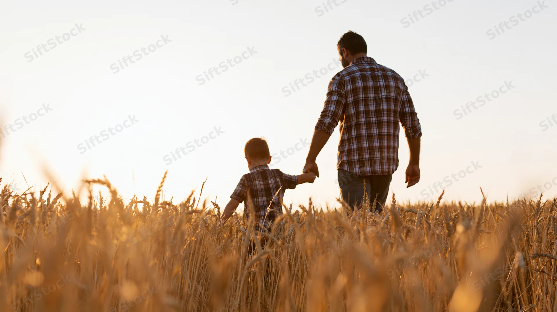 Father and son walking hand in hand through a golden wheat field at sunset