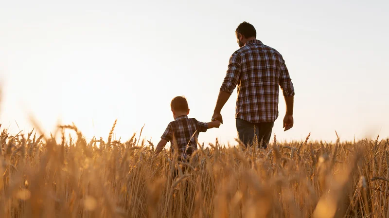 Father and son walking hand in hand through a golden wheat field at sunset