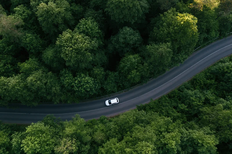 White car driving on winding road through dense green forest from aerial overhead view