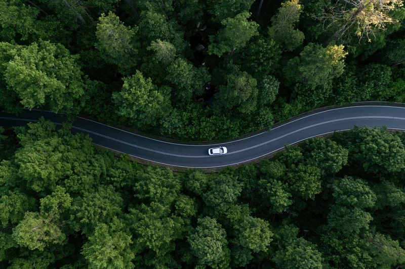 White car driving on winding road through dense green forest from overhead aerial view