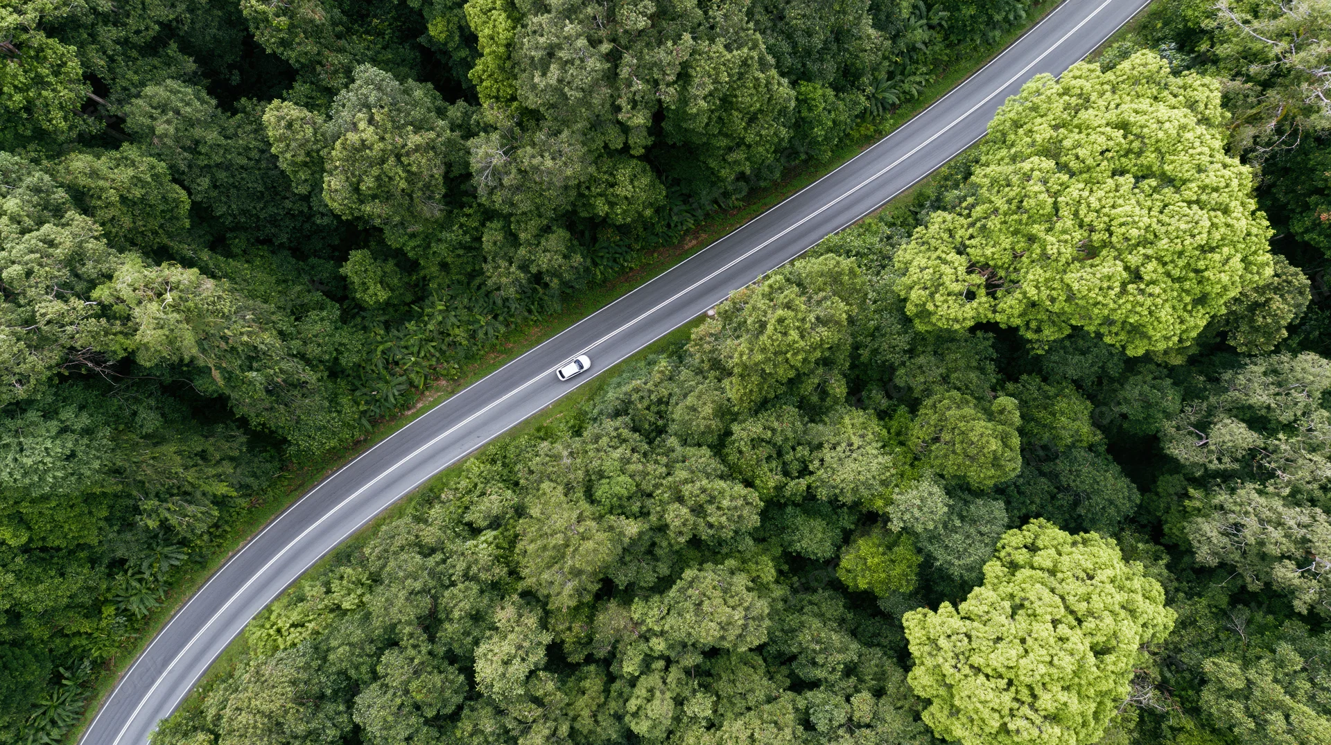 Aerial view of a winding road through dense green forest with a car driving along it
