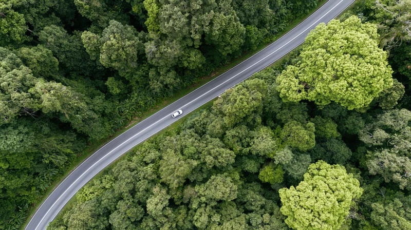 Aerial view of a winding road through dense green forest with a car driving along it