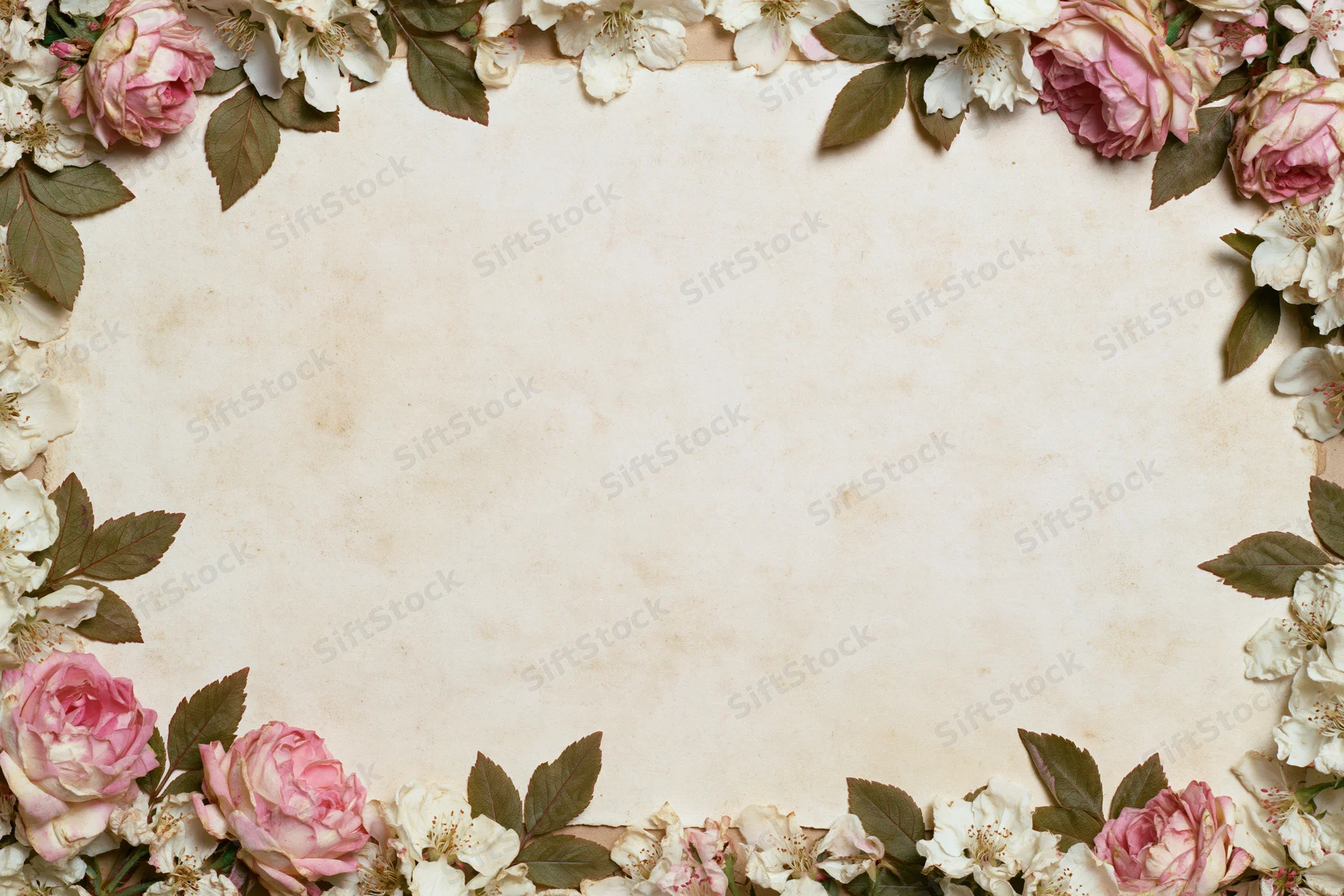 Floral border of pink and white roses on aged paper background with central copyspace