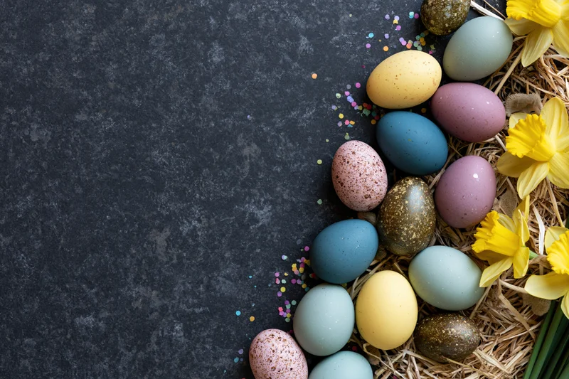 Colorful easter eggs and daffodils arranged in a nest on dark textured surface with copyspace