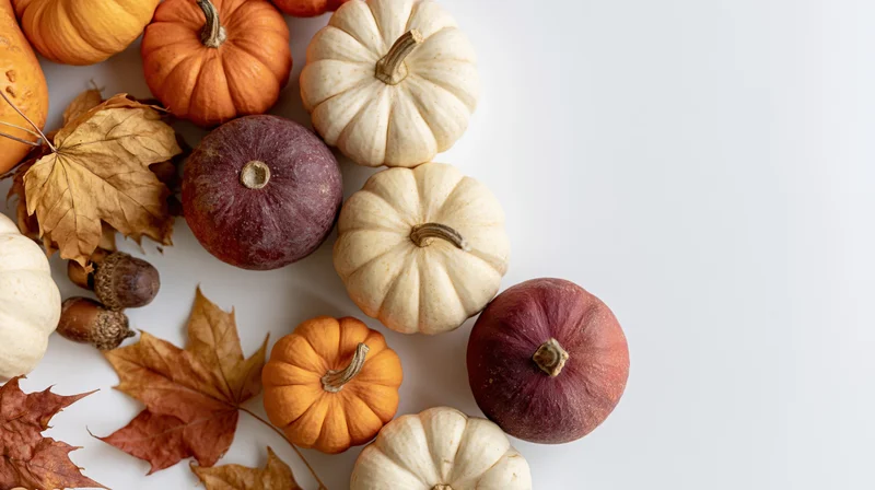 Assorted small pumpkins and gourds with dried autumn leaves arranged on white surface