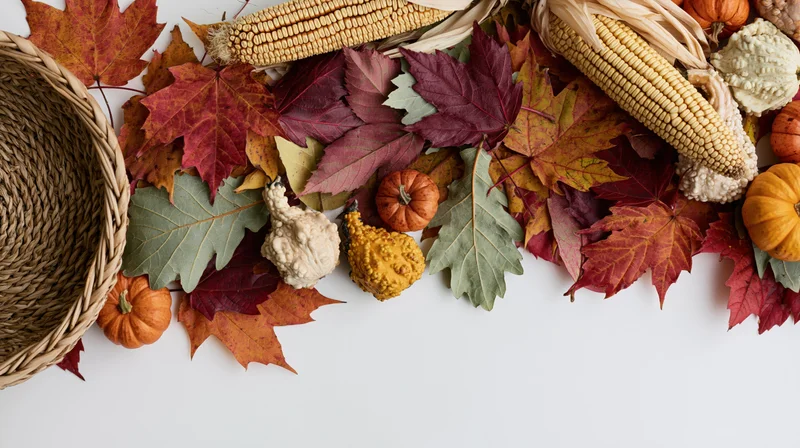 Autumn harvest flat lay border with corn, leaves, pumpkins and gourds arranged along bottom edge on white surface