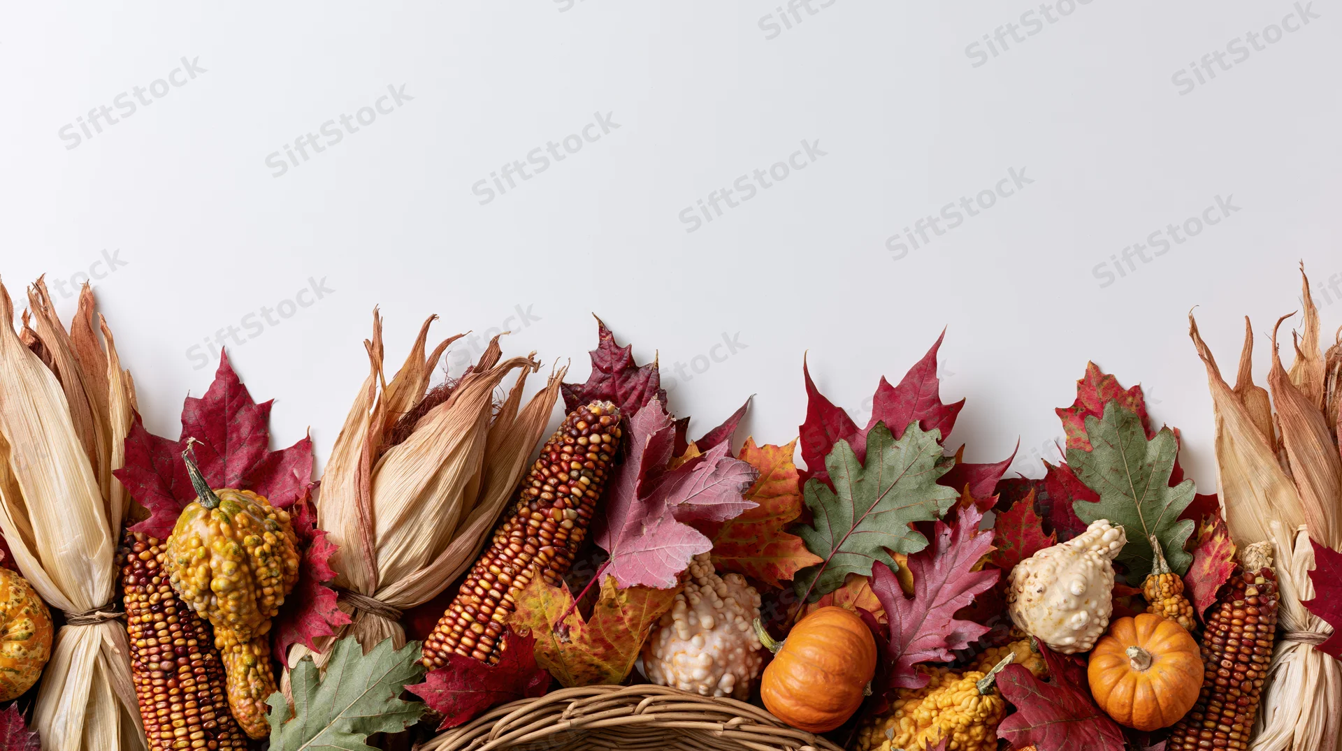 Autumn harvest flat lay border with corn, pumpkins, leaves and gourds arranged along the bottom edge on white background