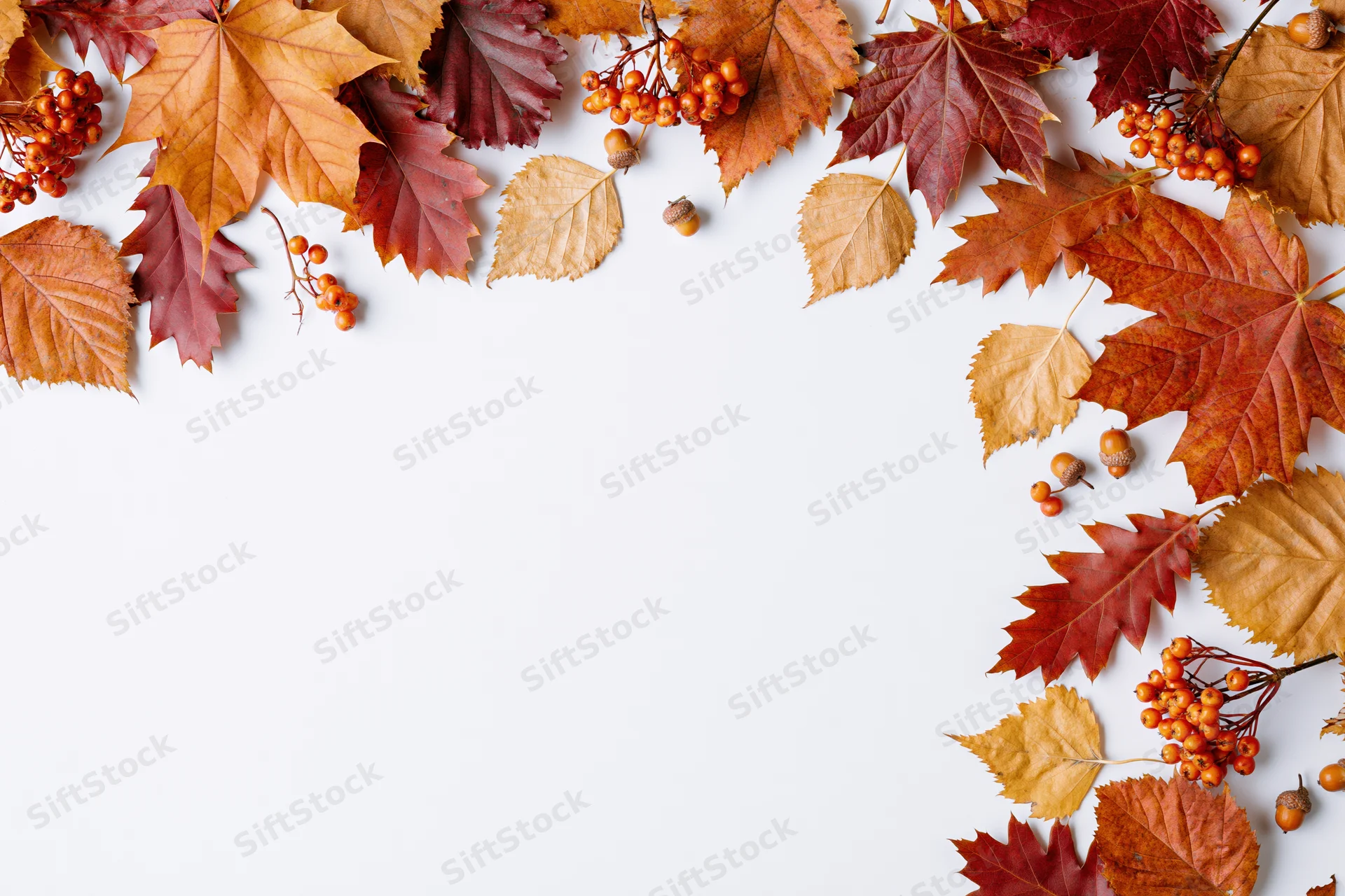 Autumn leaves and berries arranged along the edges of a white surface with copyspace in the center