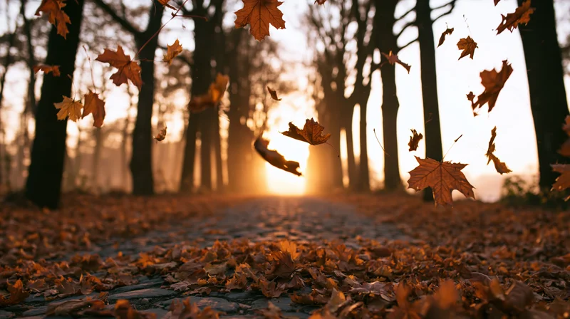 Falling autumn leaves swirling along a tree-lined cobblestone path at sunset