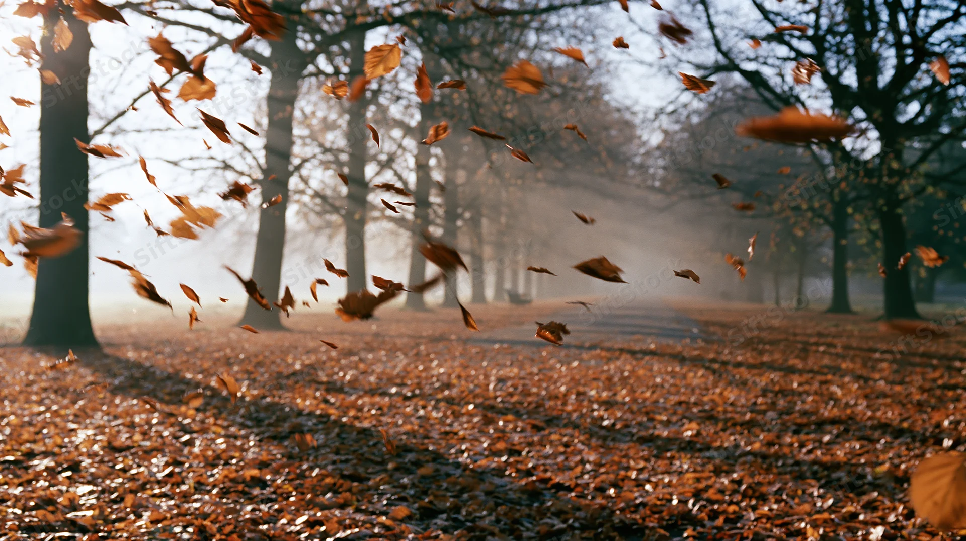 Autumn leaves swirling mid-air above a leaf-carpeted park pathway