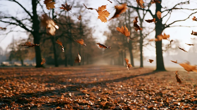 Autumn leaves swirling mid-air above a leaf-carpeted park pathway