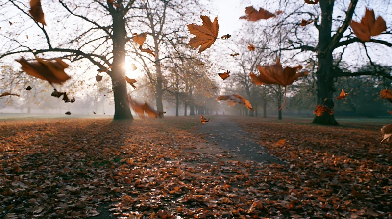 Autumn leaves swirling mid-air above a leaf-carpeted park pathway in foggy morning light