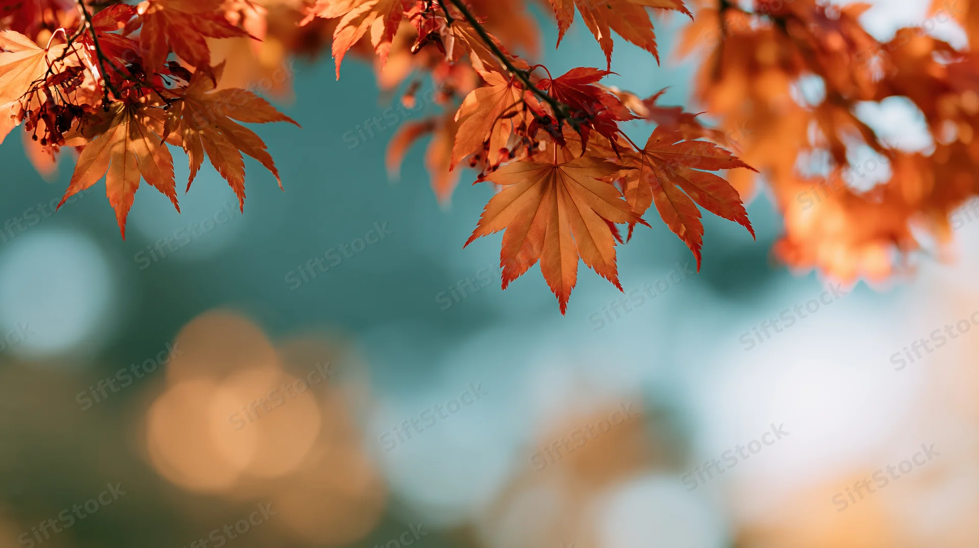 Maple branches with orange and red leaves framing the view against a blurred blue sky background