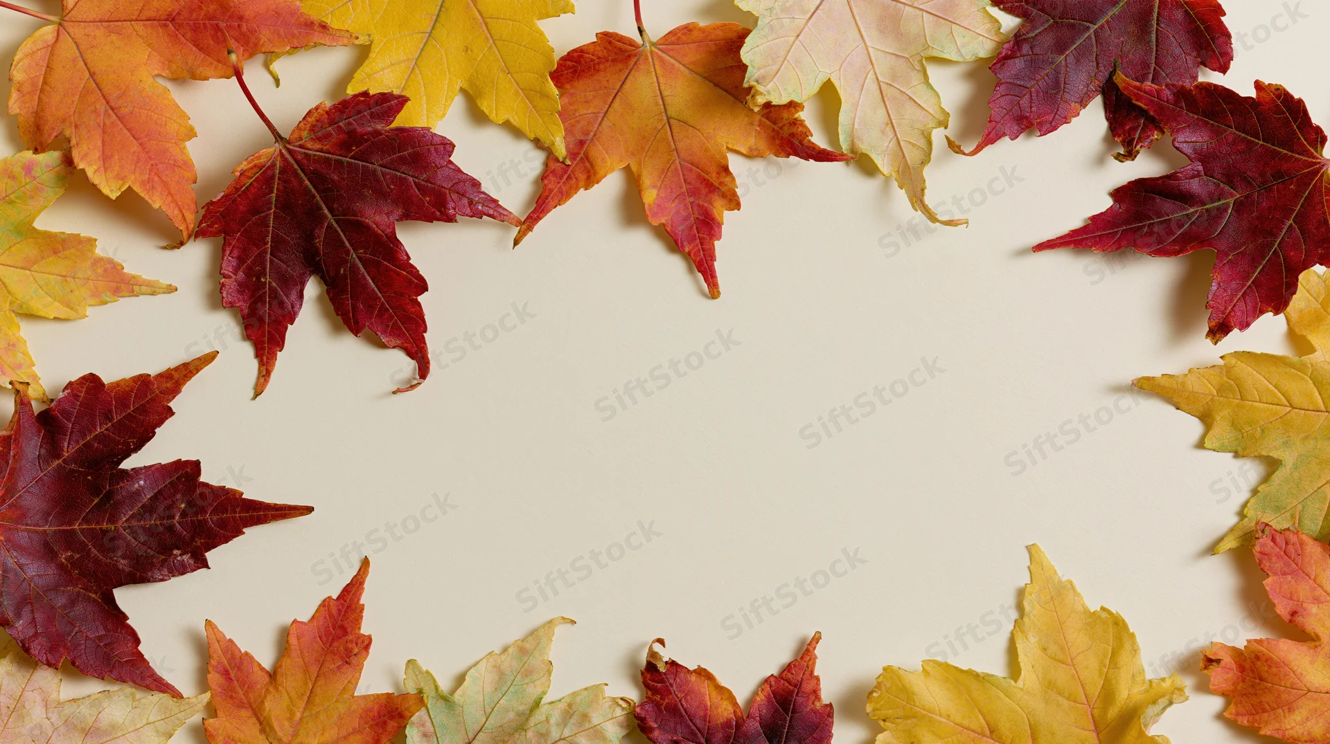 Autumn maple leaves arranged in a loose border frame around a cream background with copyspace
