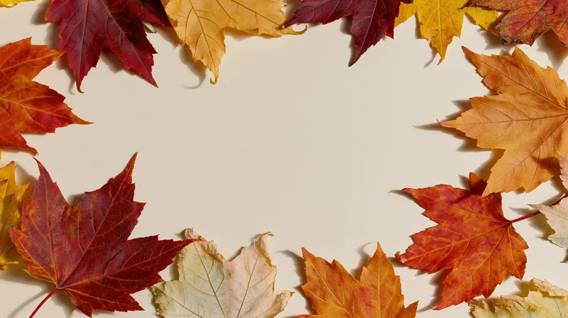 Autumn maple leaves arranged in a loose border frame around a cream background with copyspace