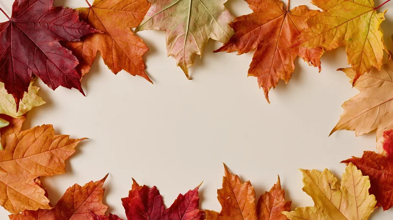Autumn maple leaves arranged in a loose border frame around a blank center on a light beige surface