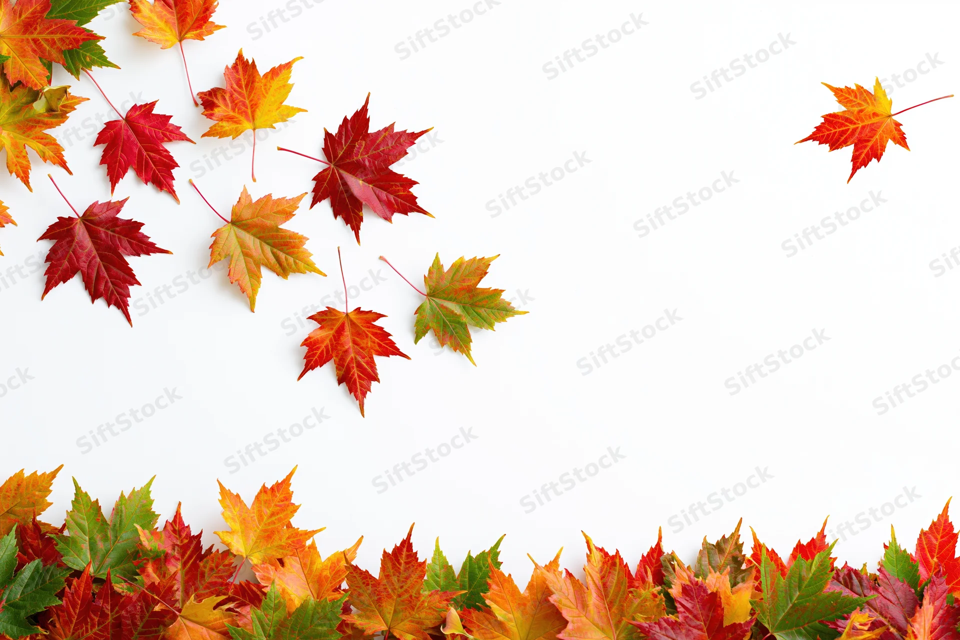 Autumn maple leaves scattered across white surface with copyspace