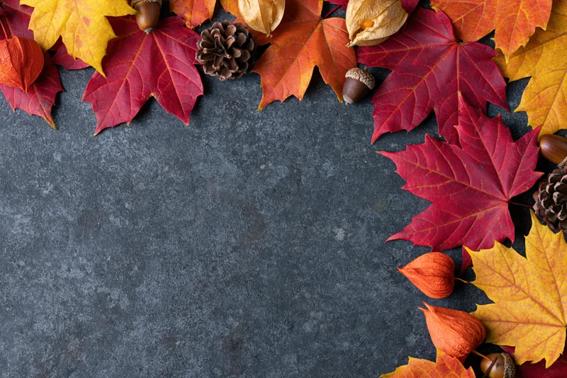 Autumn maple leaves and pinecones arranged in a border on dark stone surface with copyspace