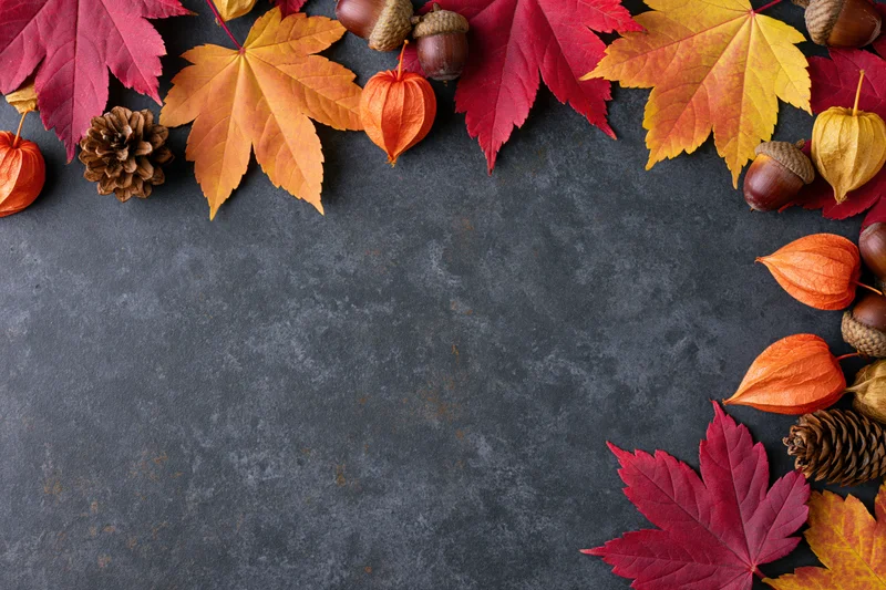 Autumn maple leaves and acorns arranged in a border on dark textured surface with copyspace