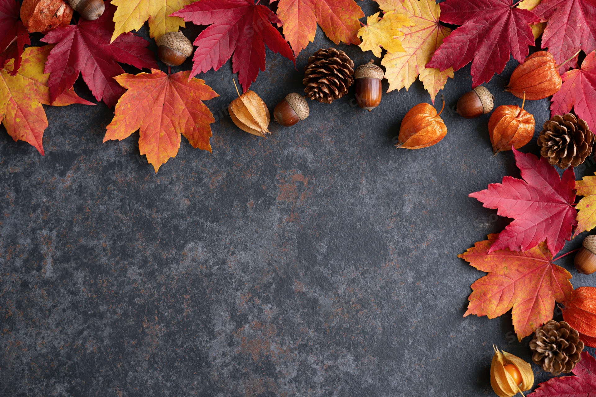Autumn maple leaves and acorns arranged in a border on a dark textured surface with copyspace