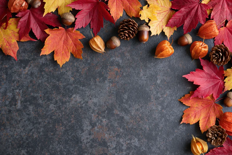 Autumn maple leaves and acorns arranged in a border on a dark textured surface with copyspace