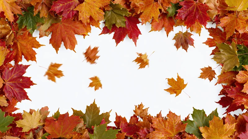 Autumn maple leaves arranged in a circular frame with falling leaves and white copyspace in center