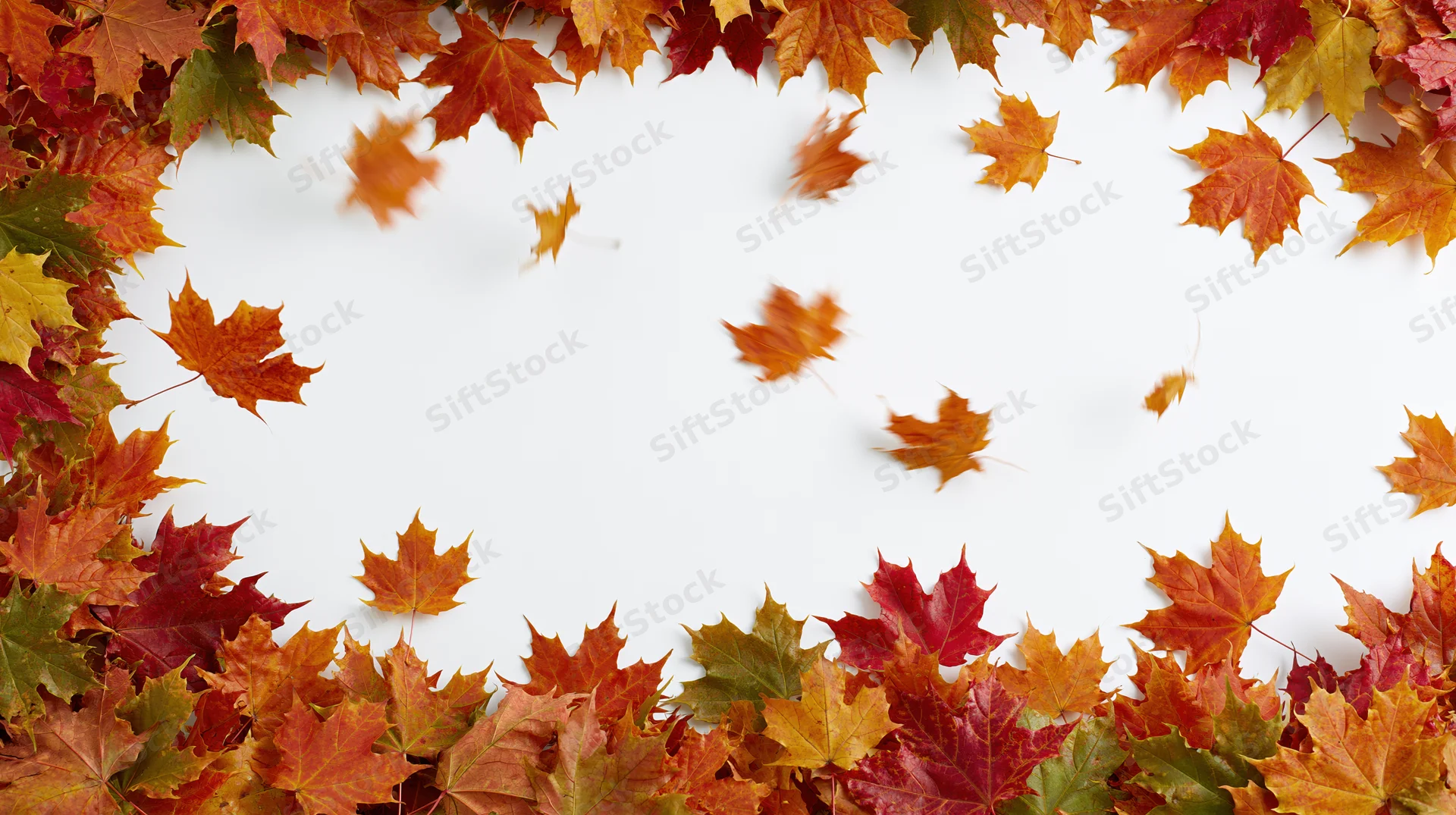 Autumn maple leaves arranged in a border around white copyspace