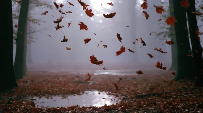 Maple leaves swirling in misty forest clearing with puddle on ground