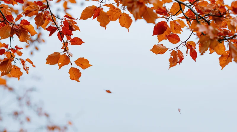 Autumn tree branches with orange red and golden leaves hanging against a pale sky