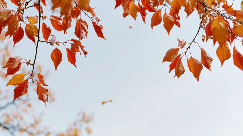 Autumn tree branches with orange red and golden leaves against a clear sky