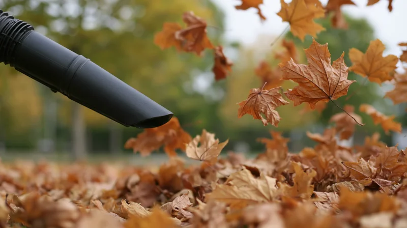 Leaf blower nozzle blowing autumn leaves in a yard